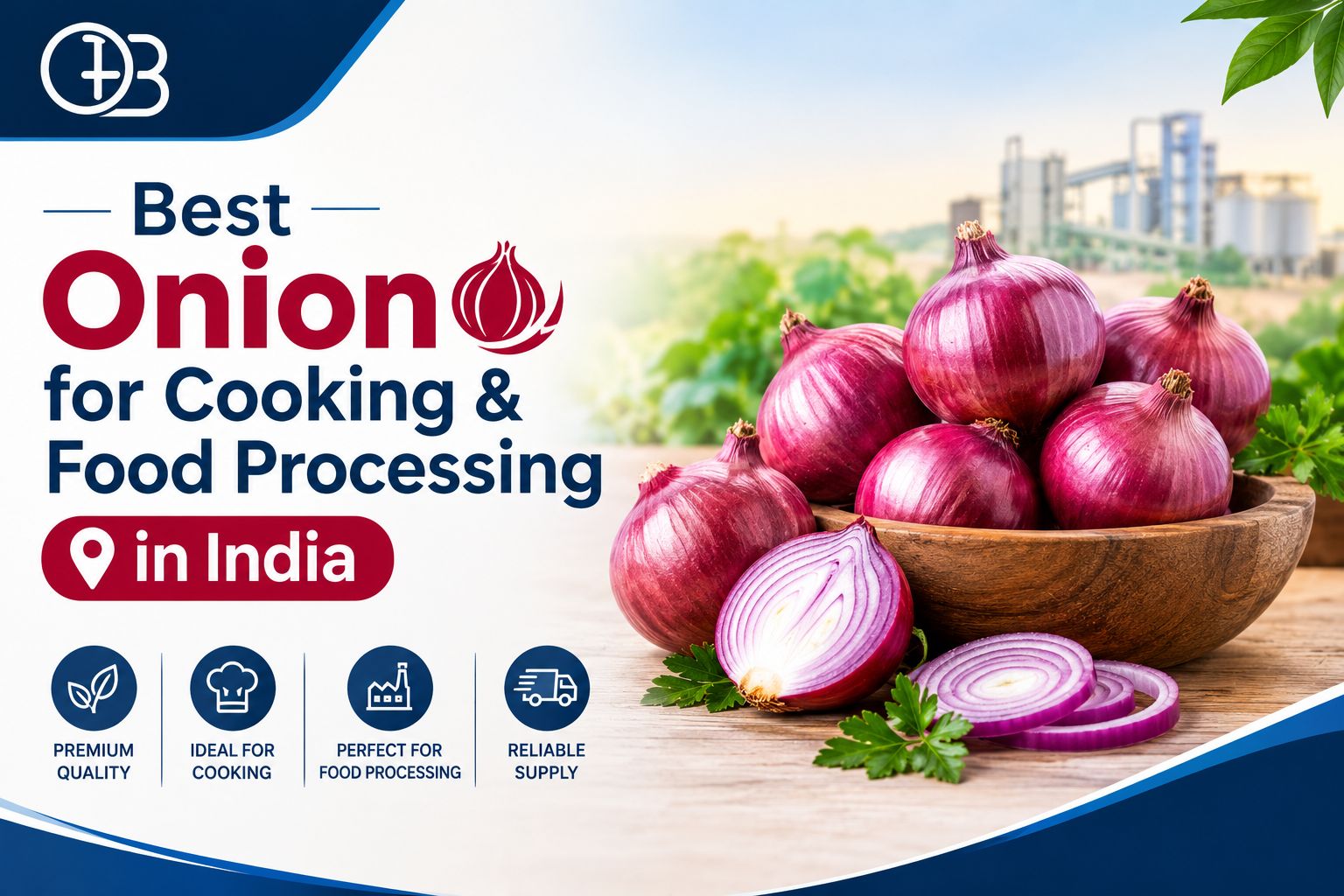 Best Onion for Cooking & Food Processing in India