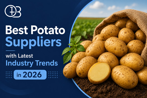 Best Potato Suppliers with Latest Industry Trends in 2026
