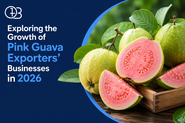 Exploring the Growth of Pink Guava Exporters Businesses in 2026