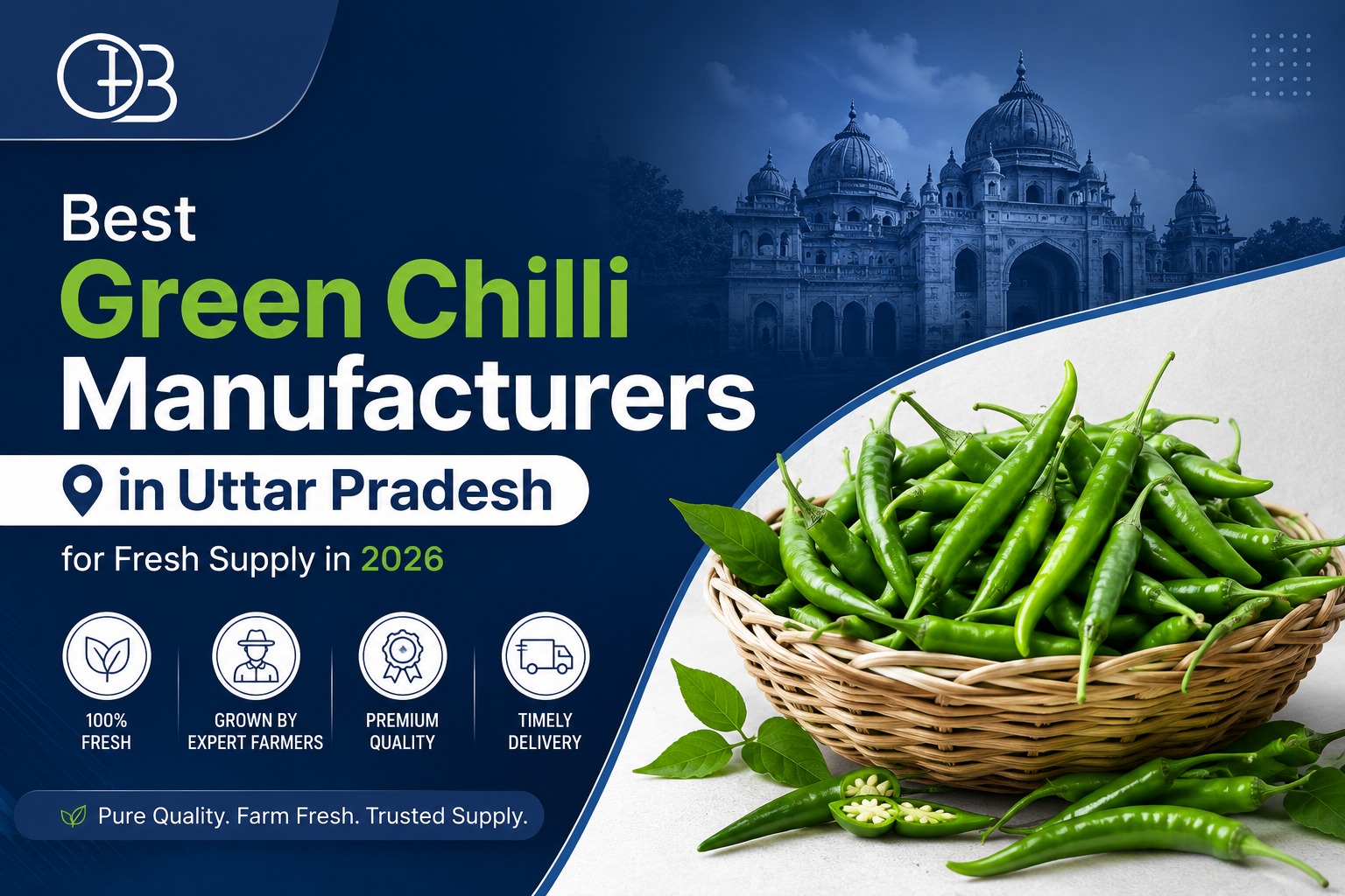 Green Chilli Market Trends and Future Growth in 2026