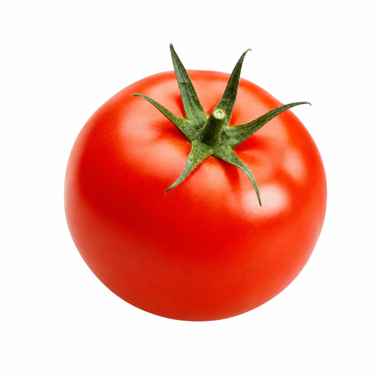 Tomato Manufacturers in Jammu 