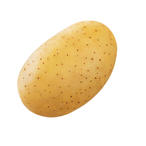 Potato Manufacturers in Delhi